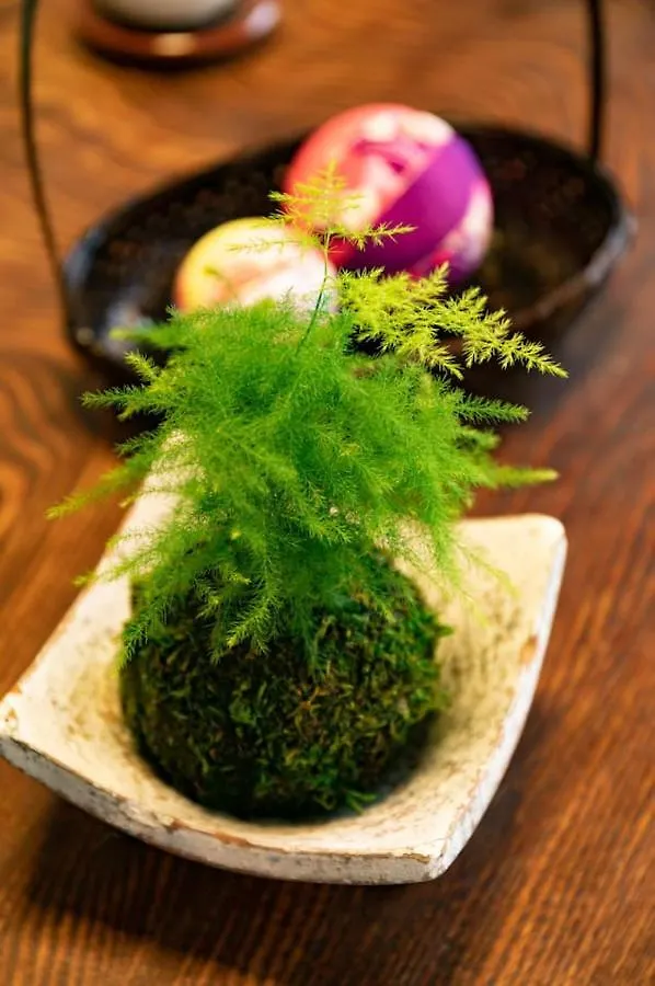 Japanese Traditional House Near Ueno, Skytree And Asakusa Villa Tokyo Giappone